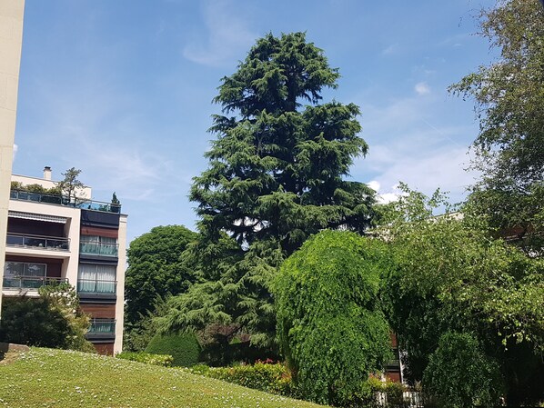 Property grounds - Forest Paradise, Très Grand Salon, 15 min de Paris (Sèvres)