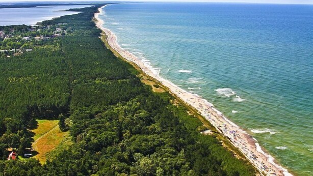 Eine Luftaufnahme einer Küstenregion mit einem langen Sandstrand, dichtem Wald und freiem Blick auf den Ozean.