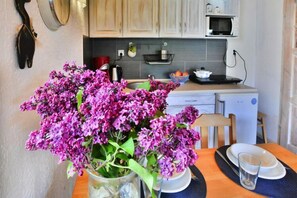 Fridge, microwave, stovetop, dishwasher - Comfortable holiday homes with a fireplace (Bobolin)