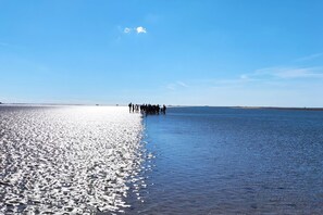 In Strandnähe, Liegestühle