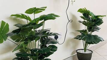 Comfort Apartment, Balcony | Living area | 43-inch Smart TV with digital channels, Netflix, Hulu