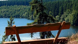 A wooden bench by a lake with a forest in the background. - Blockhaus, Hasselfelde (Hasselfelde)