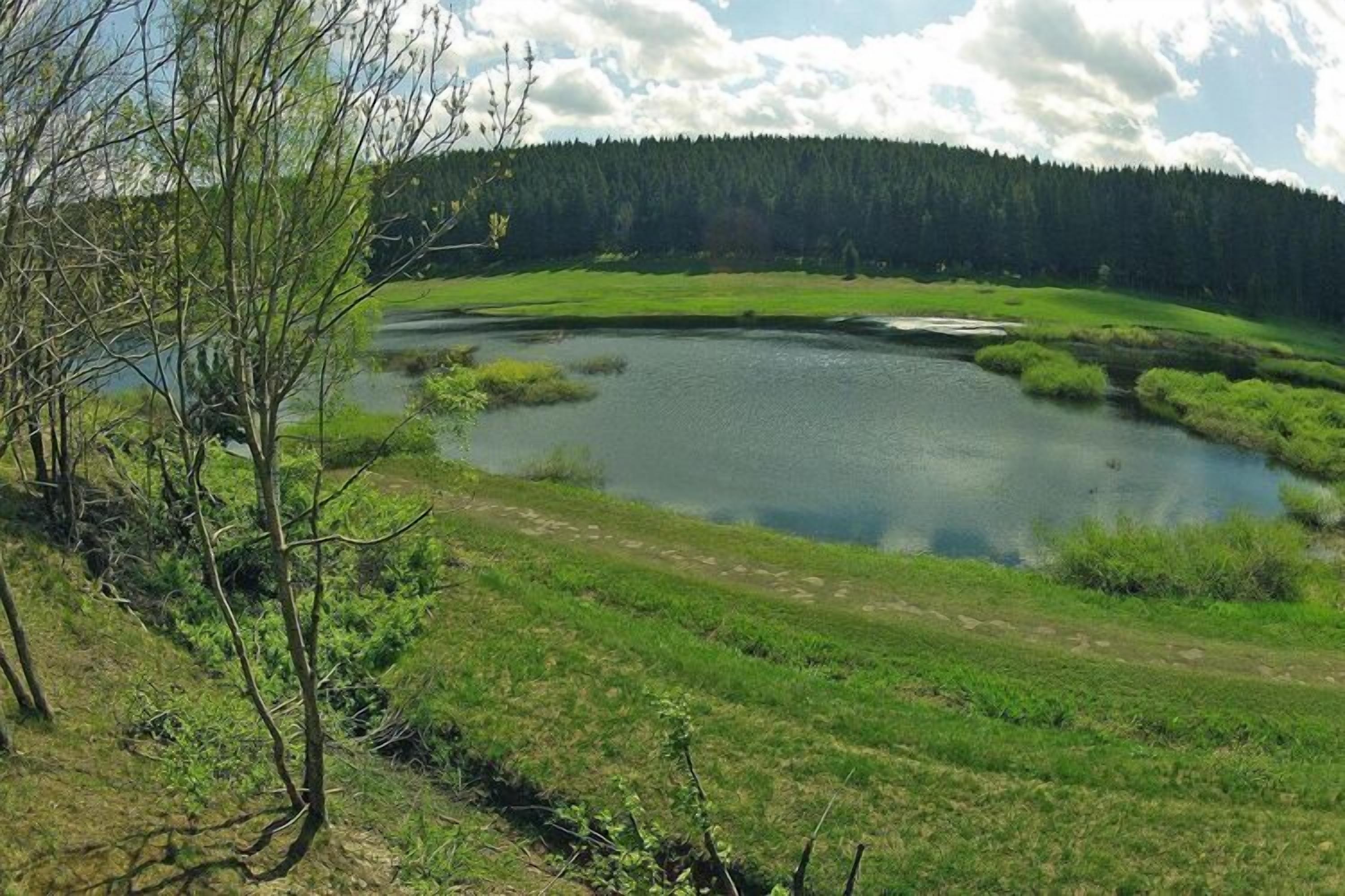 A natural landscape with a lake, grassy areas, and a forested hill in the background.