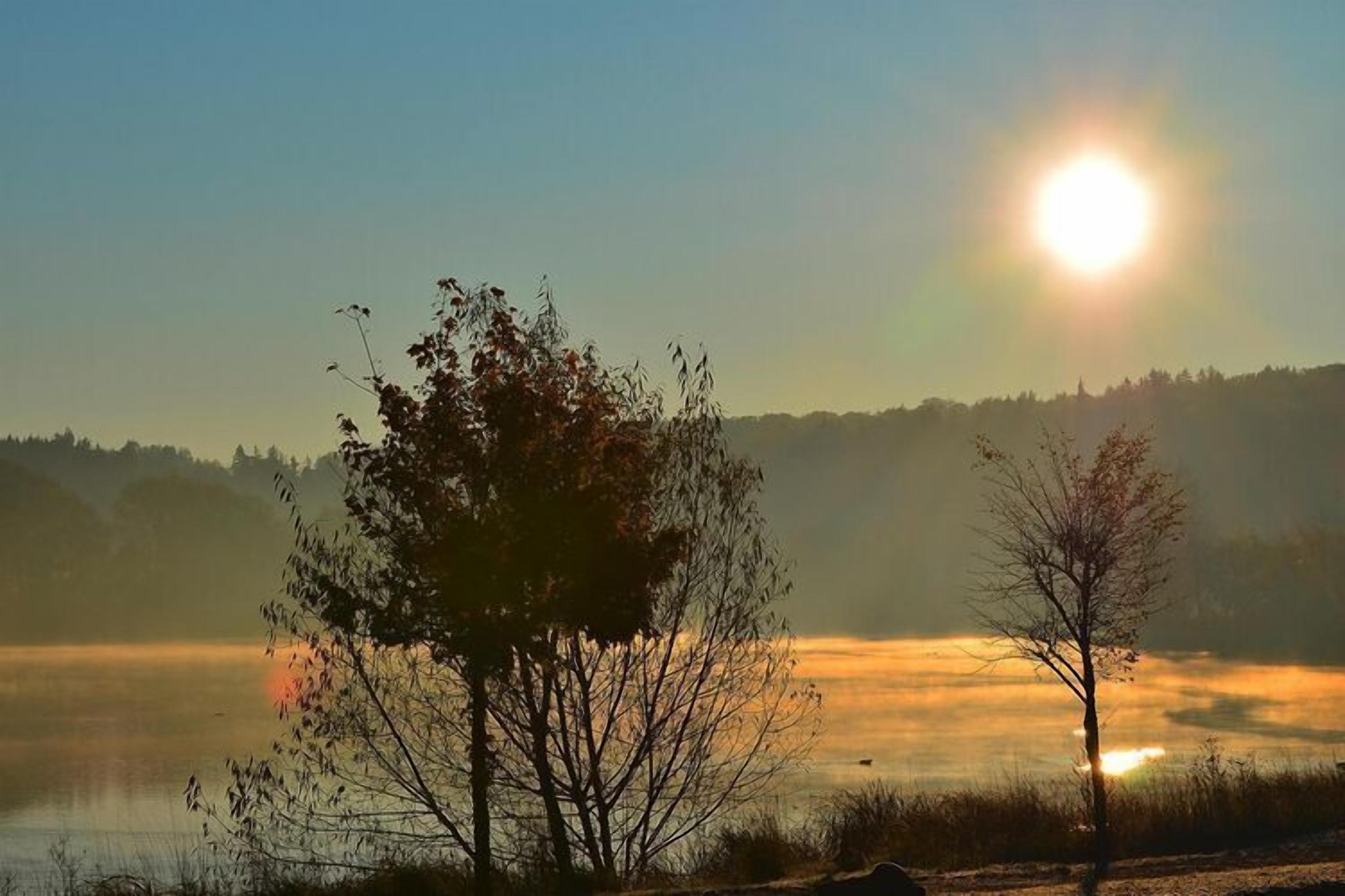 A serene lakeside scene with a clear sky, a prominent sun, and a tree in the foreground.