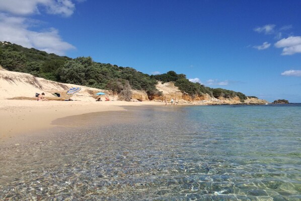 A beach with clear shallow waters, a sandy shore, and a forested hillside.