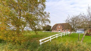 A rural house with a white fence, surrounded by grass and trees.