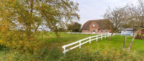 A rural house with a white fence, surrounded by grass and trees.