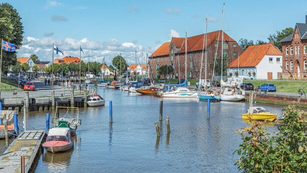 A marina with various boats docked, a bridge, and buildings with red roofs.