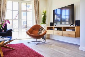 Televisión, chimenea y reproductor de DVD