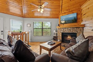 TV, fireplace, video games, books