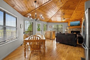 TV, fireplace, video games, books