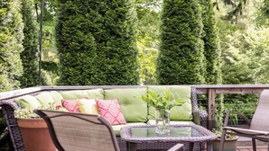 A patio area with a green sofa, wicker chairs, a glass table, and potted plants.