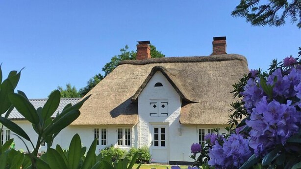 Een traditioneel rieten huis met een witte gevel, omgeven door weelderige begroeiing en paarse bloemen.