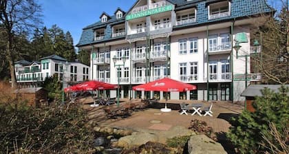 Apartment in Tanne mit Balkon