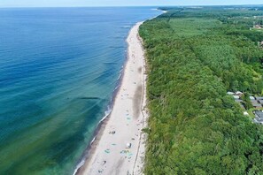 An aerial view of a beach with a forested area and a few buildings.