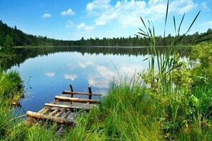 Miscellaneous - Comfortable holiday homes, pool, sauna, jacuzzi (Osieki)