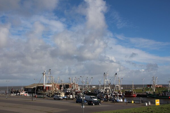 Marina - Ferienwohnung, Dornumersiel (Dornumersiel)