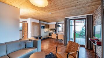 TV connectée, cheminée, chaßne hi-fi