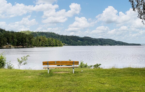 A bench overlooking a lake with a forested shoreline.