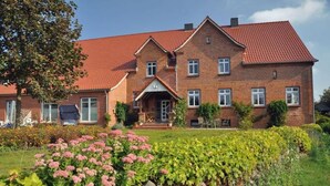 Eksteriør