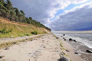Une plage avec un sentier de sable, une côte rocheuse et une colline boisée.