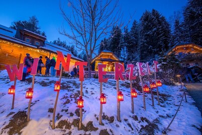 Chalet in Wildkogel near Ski Slopes & Pool
