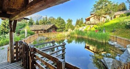 Chalet in Wildkogel near Ski Slopes & Pool