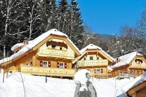 Exterior - Chalet in Wildkogel near Ski Slopes & Pool (Neukirchen)