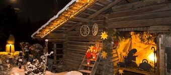Chalet a Wildkogel vicino Piste & Piscina