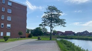 A paved walkway beside a body of water, a bench, and a tree.
