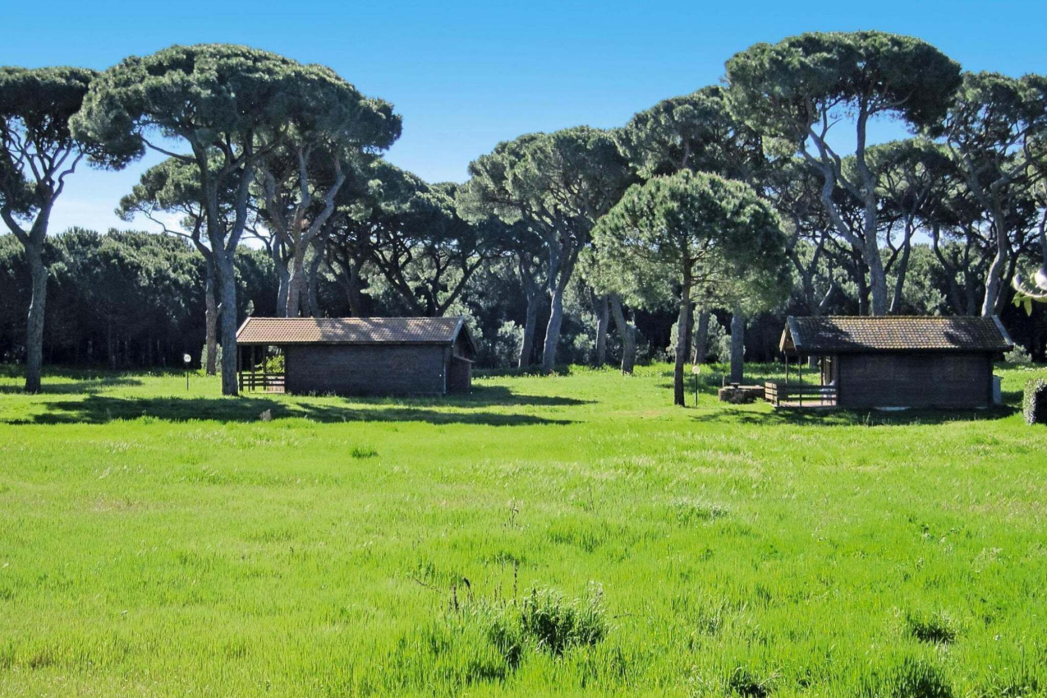 Een grasveld met twee kleine bakstenen gebouwen en hoge bomen op de achtergrond.