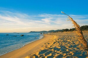 Playa en los alrededores 