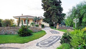A pathway leading to a house with a stone wall and a palm tree.