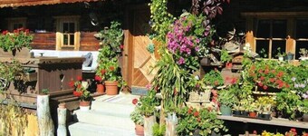 Leilighet i Wildschönau ved Schatzberg Lift