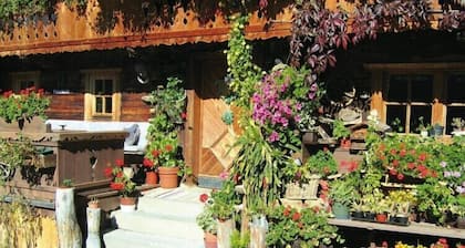 Wohnung in Wildschönau am Schatzberg Lift