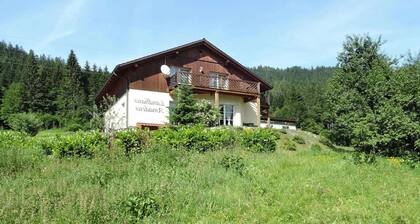 Ferienhaus in Radstadt mit Sauna & Whirlpool