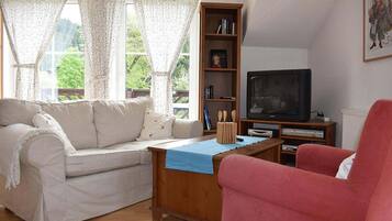 Smart TV, fireplace, DVD player, stereo