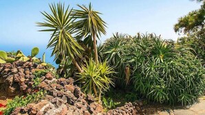 A rocky terrain with various desert plants and a clear sky. - Finca La Hoya, El Tanque (El Tanque)