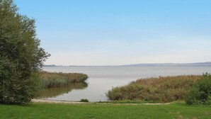 Ein ruhiger See mit saftigem Ufergrün und Schilf.