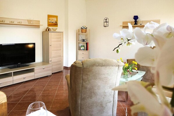 TV, DVD player, foosball, table tennis