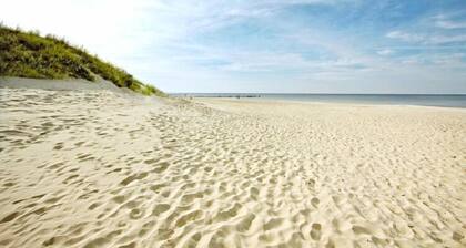 Comfortable wooden holiday homes near the beach