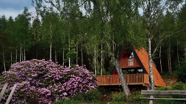 Una cabaña con terraza de madera y un pequeño muelle que se adentra en el agua, rodeada de un bosque frondoso y flores moradas en flor.