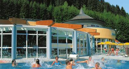 Apartment in Filzmoos near Ski Amadé