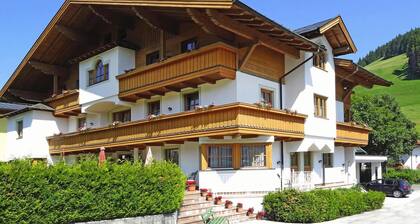 Apartment in Filzmoos near Ski Amadé