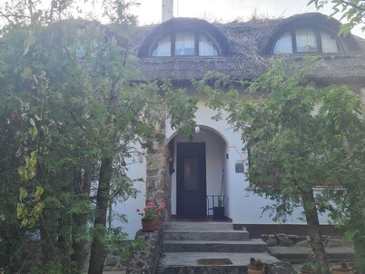  Village  in Wonderful TIHANY for party  or family holiday max18 person!

