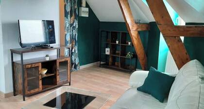 1 bedroom apartment in nantes