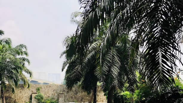 A swimming pool with a stone wall and palm trees in the background. - Hotel Riau (Bekasi)
