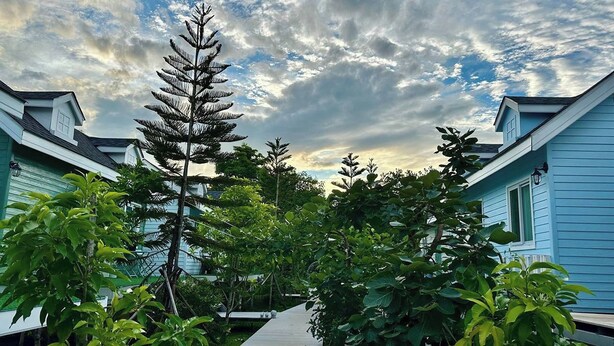 รูปภาพที่ไม่ได้จัดประเภท, 1 จาก 69, ปุ่ม