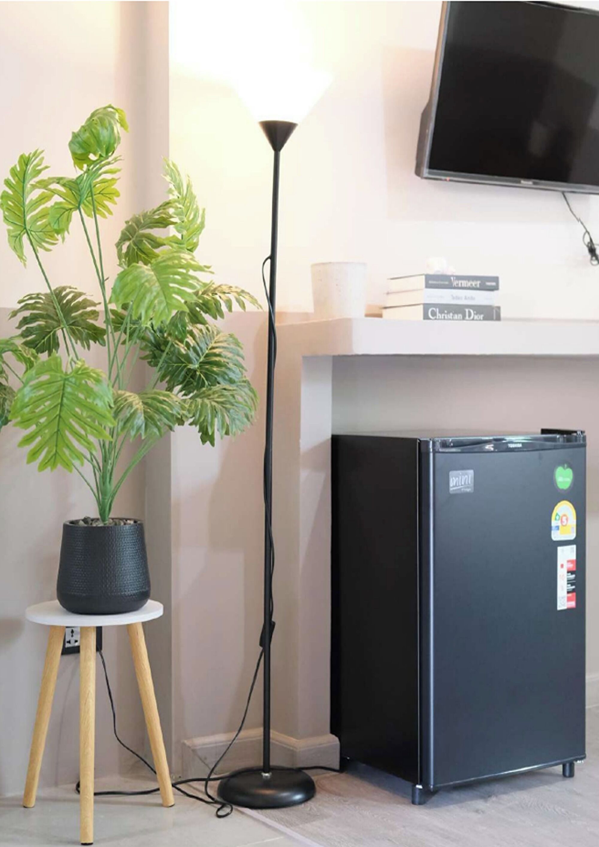 A black refrigerator, a potted plant, and a standing lamp in a room.