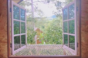 Family Room | View from room